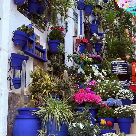 Casa Alma * Dehesa de Campoamor (Orihuela Costa)